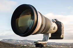 Canon EOS 1D X Review