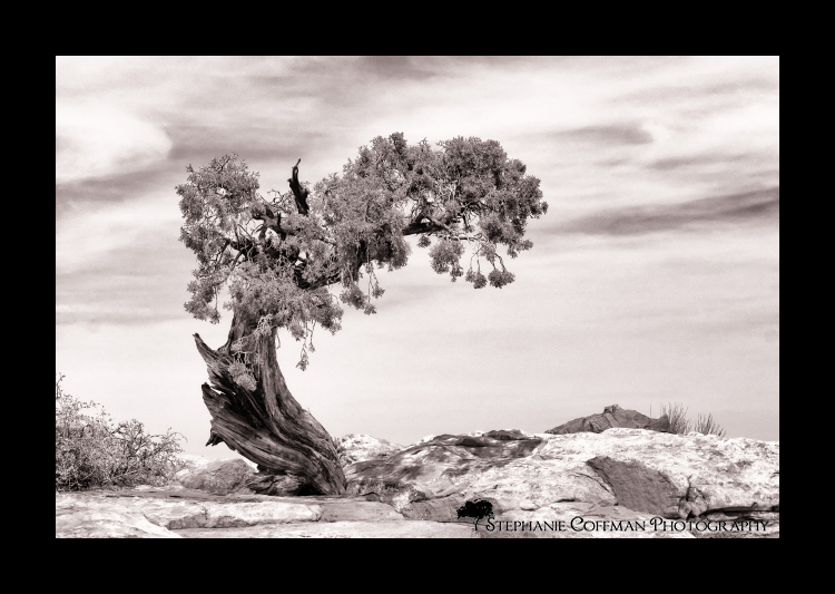 Moab, Utah Scenery (Fall 2012)