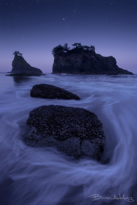 Oregon Coast Stars.