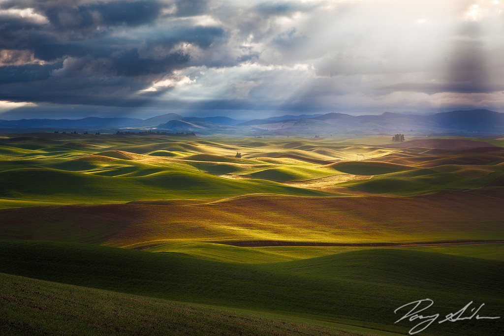 Palouse Spotlight