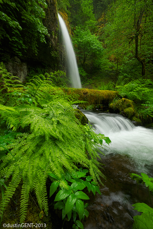 "Fern Creek Falls "