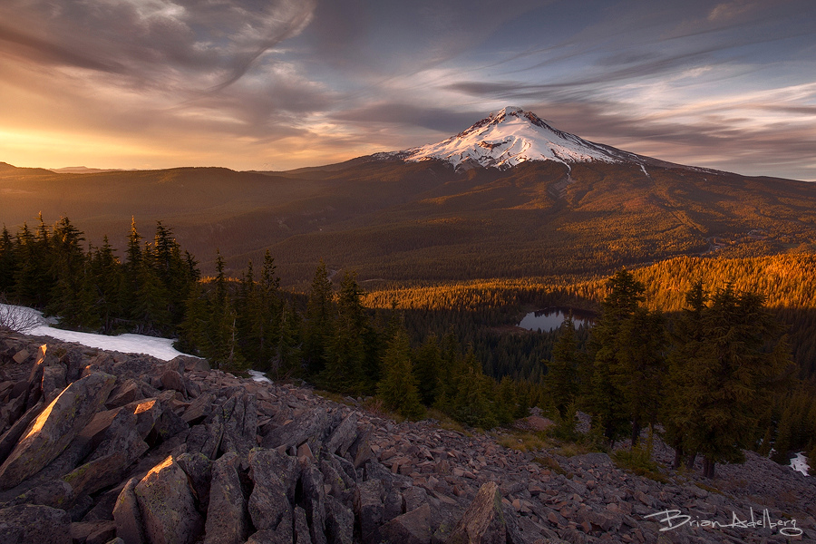 Golden Light.