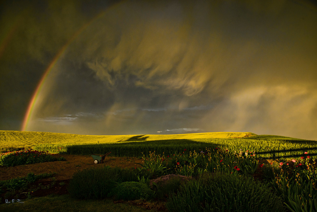 Storm on the Palouse...