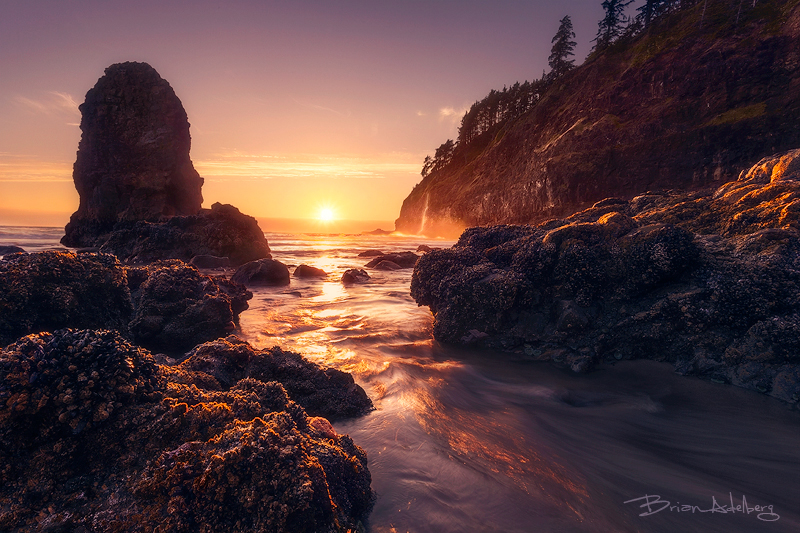 Golden Tide, Oregon.