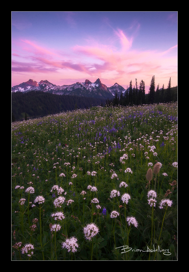 Tatoosh Range, WA.