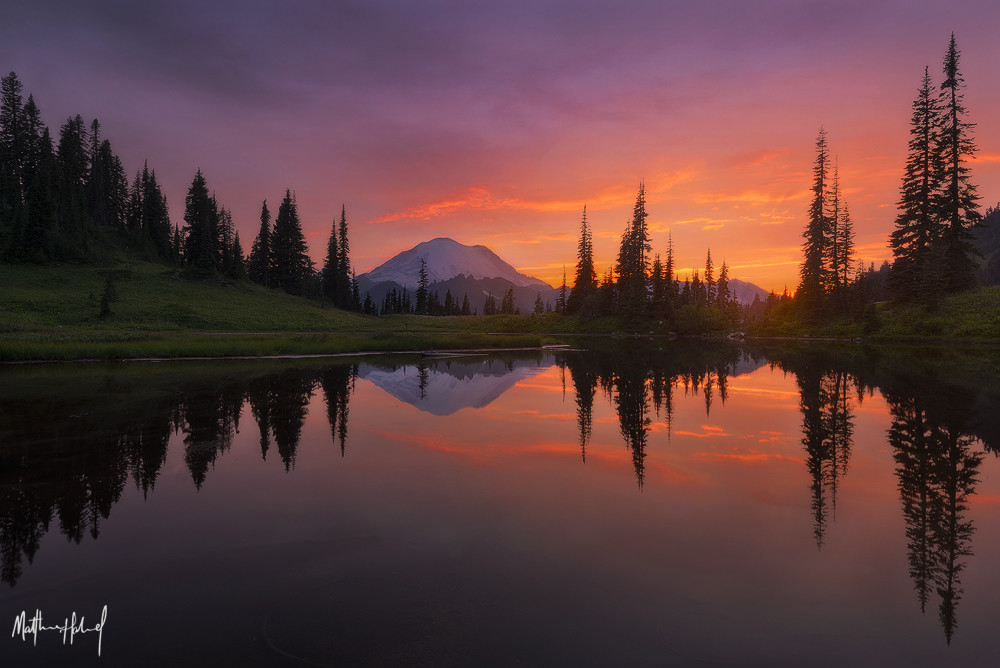 Lucky at Tipsoo Lake, Mount Rainier.