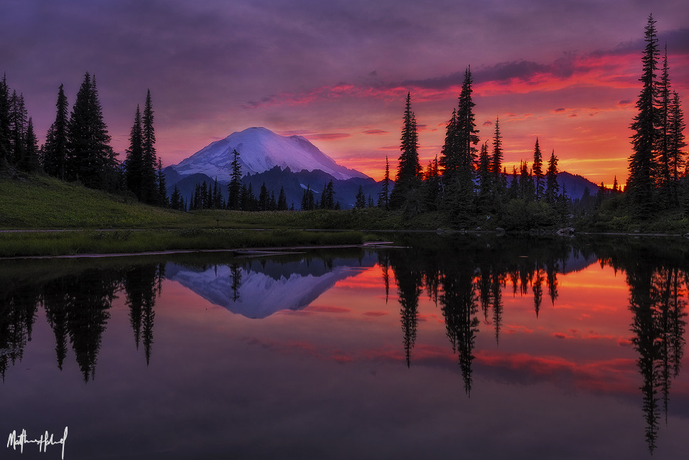 Lucky at Tipsoo Lake, Mount Rainier. Number 2.