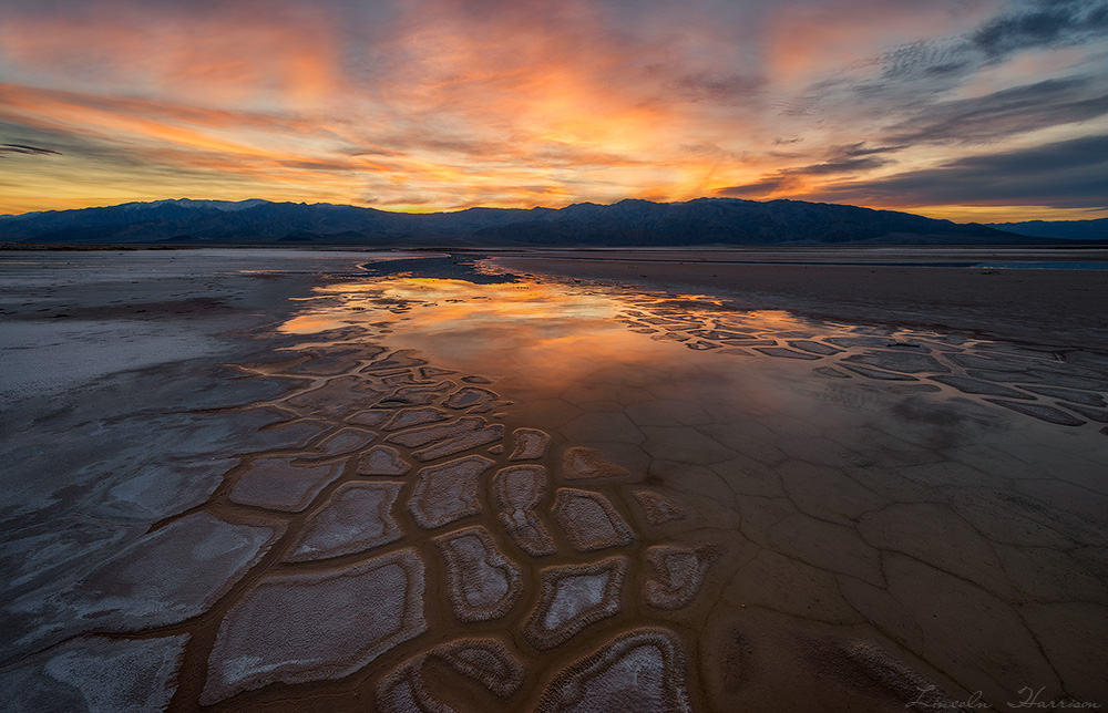 Salt Creek, Death Valley