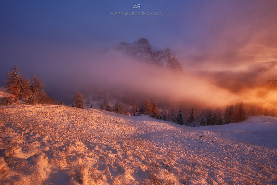 A Dreamer's Glimpse