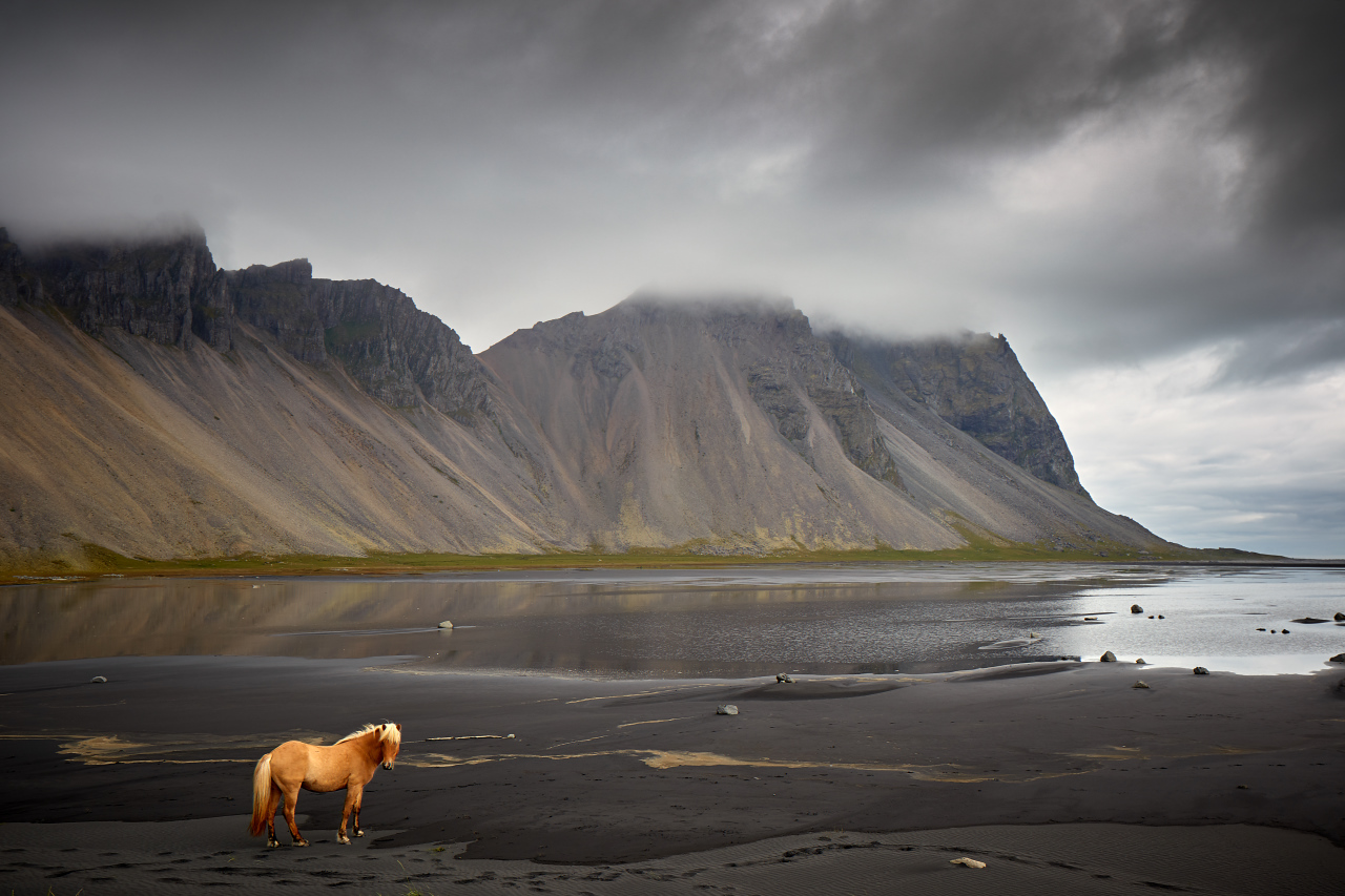Iceland