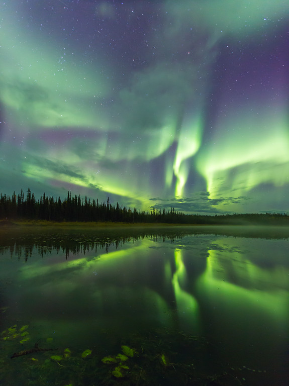 Night Lights .. Aurora Yellowknife Canada NWT