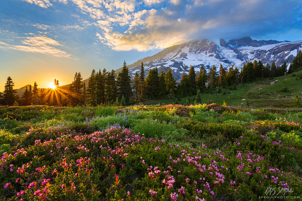 Sundown in Paradise, Mount Rainier