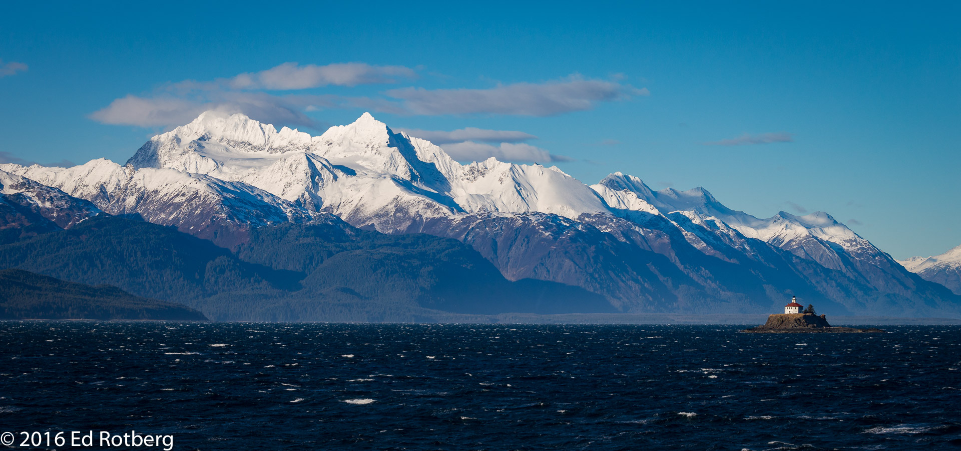 Bald Eagles +, mostly from Haines, AK (23)
