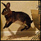 View this photographer's profile