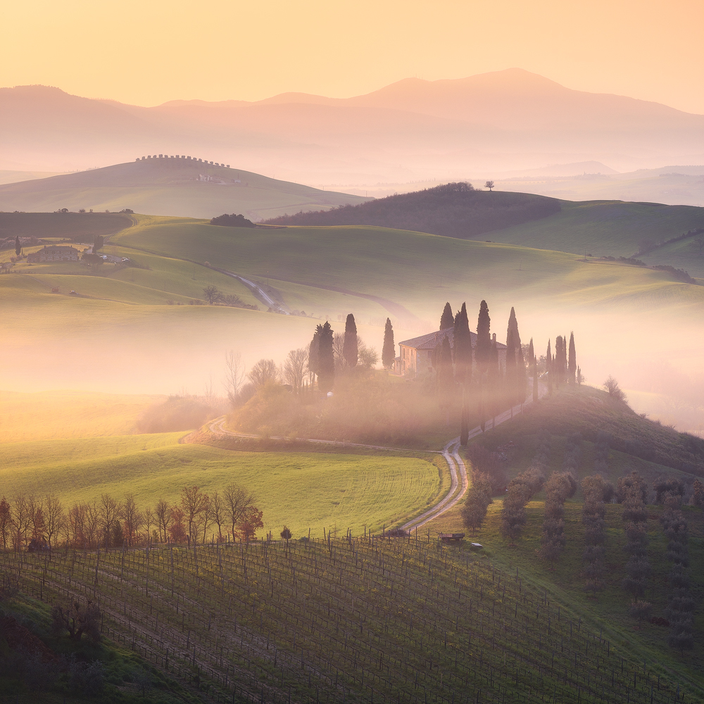 Calm Tuscany