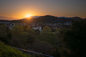 Wishing everyone a Happy Easter!