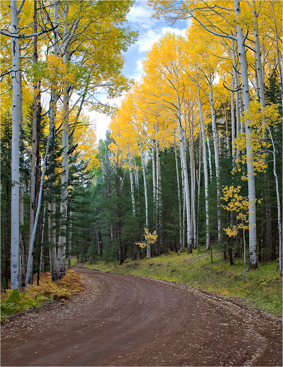 Arizona's Fall Classic