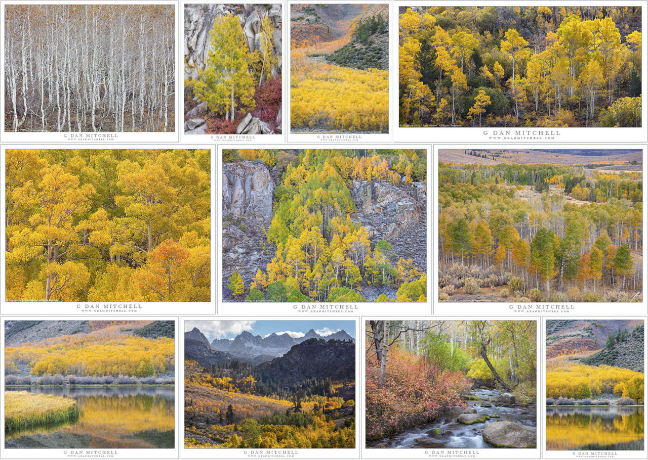 What October Looks Like ��A Sierra Collection (larger files added)