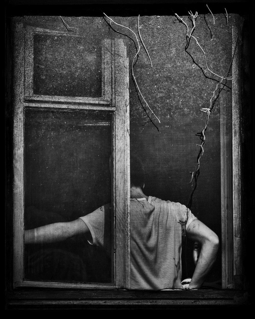 In the window