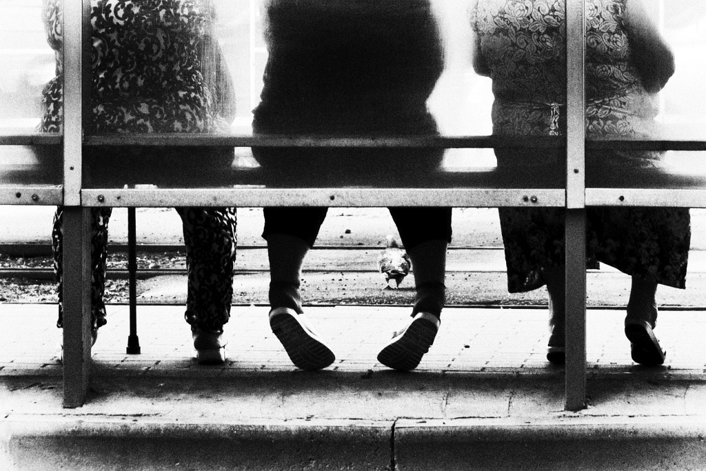 On the bench
