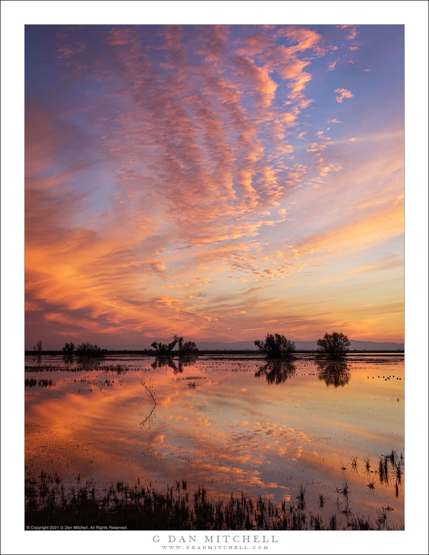 New Year's Day � California Central Valley