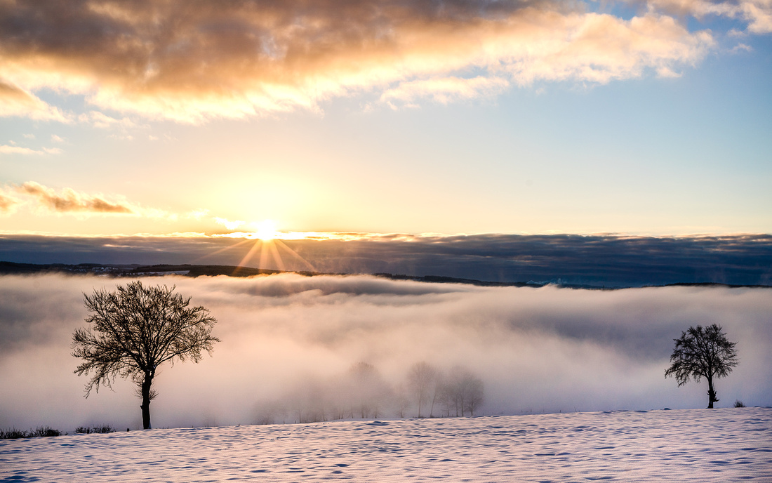 Brume in Belgium - sunrise and fog