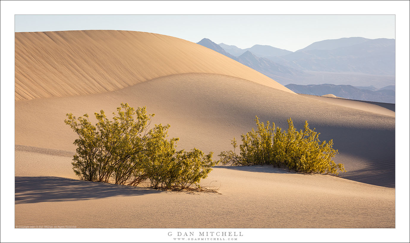 Death Valley photographs... (and an interview in "On Landscape")