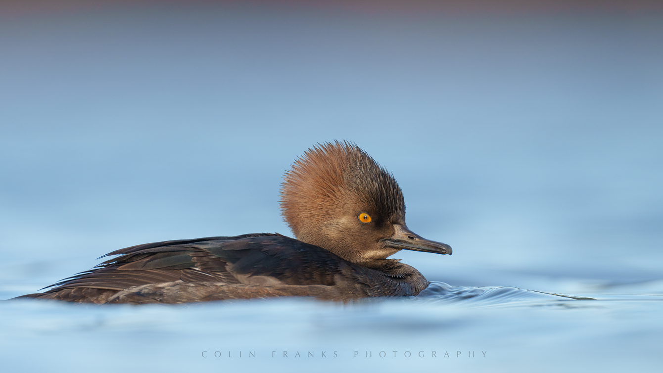 A cold morning