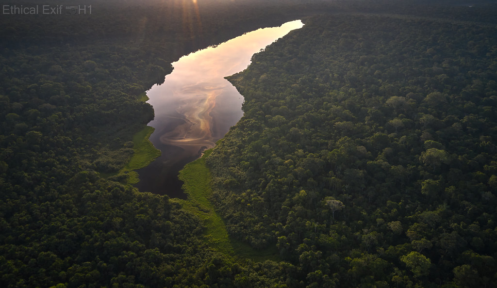 Peruvian Amazon: Tambopata Reserve