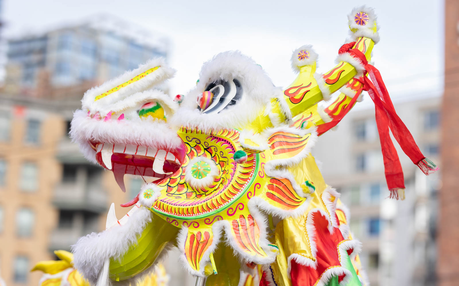 Chinese Lunar New Year