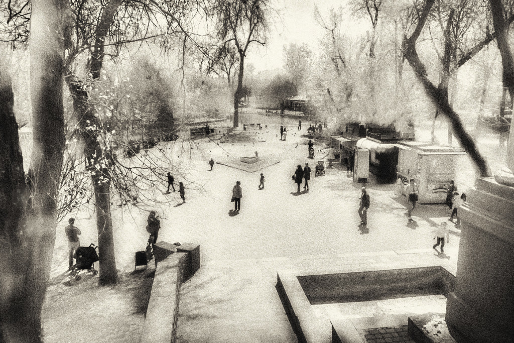 People in the park