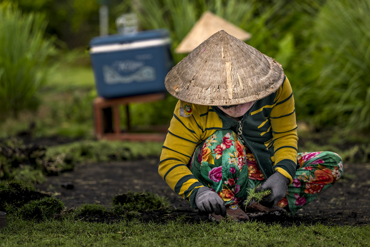 Vietnam Field Worker