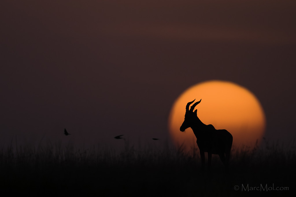 This is Africa............and why I keep coming back.