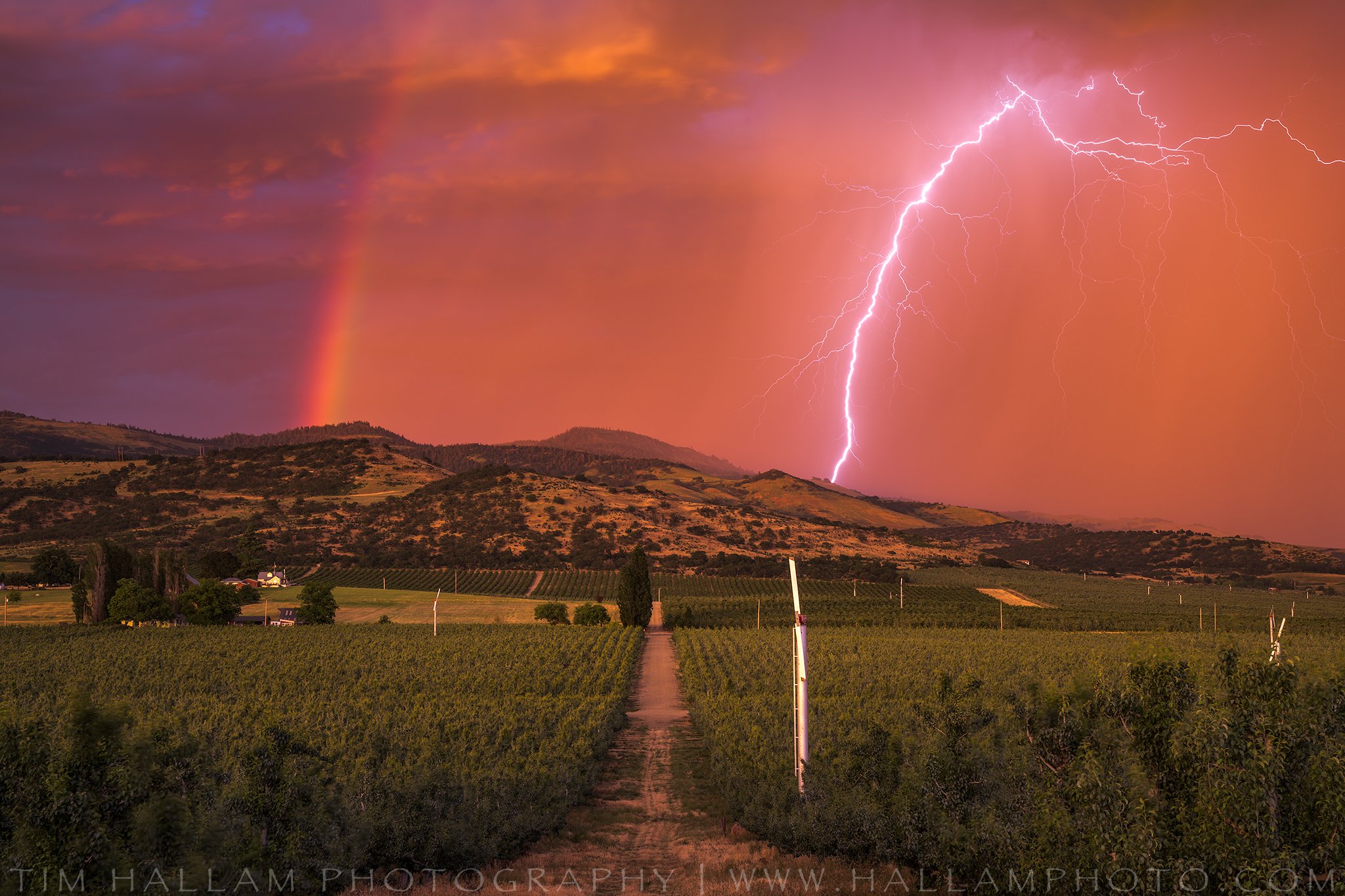 Oregon Thunderstorm at Sunset