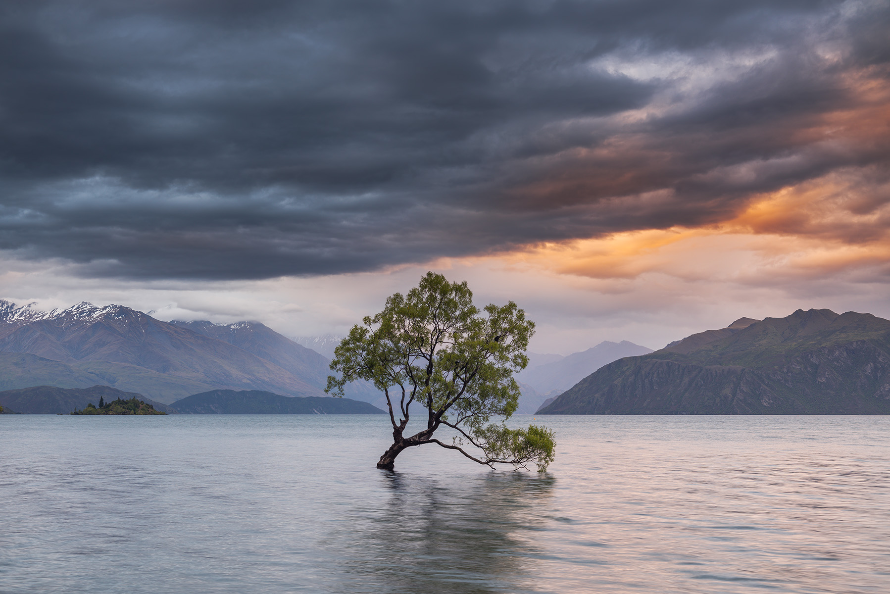 A selection from New Zealand