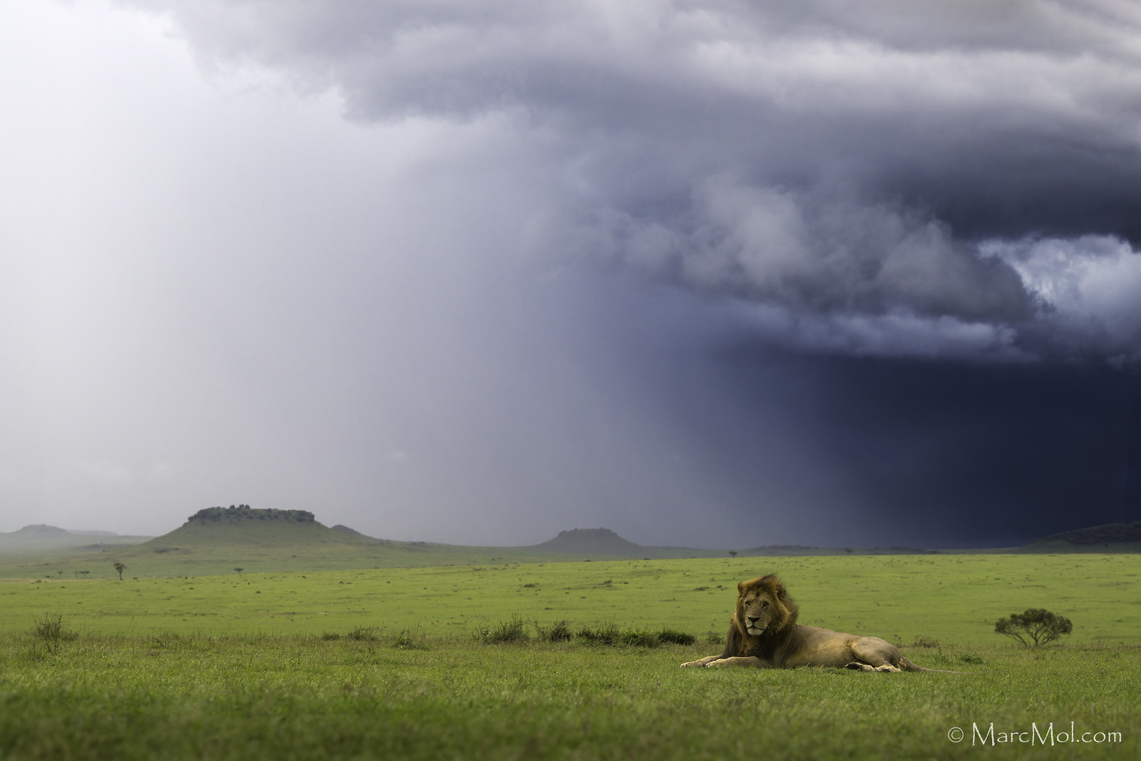 Return to the Serengeti with one eye open!