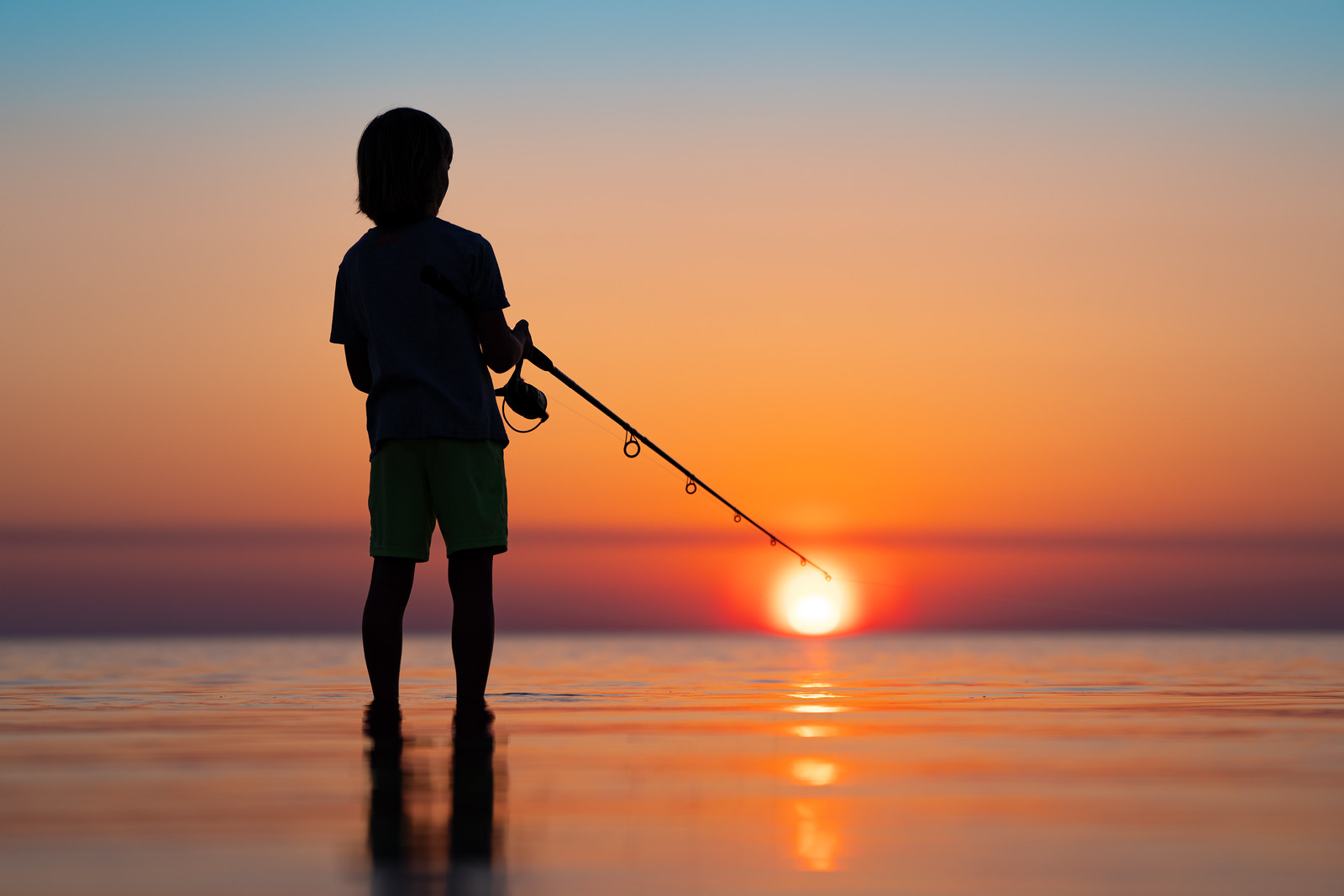 Catching the sun
