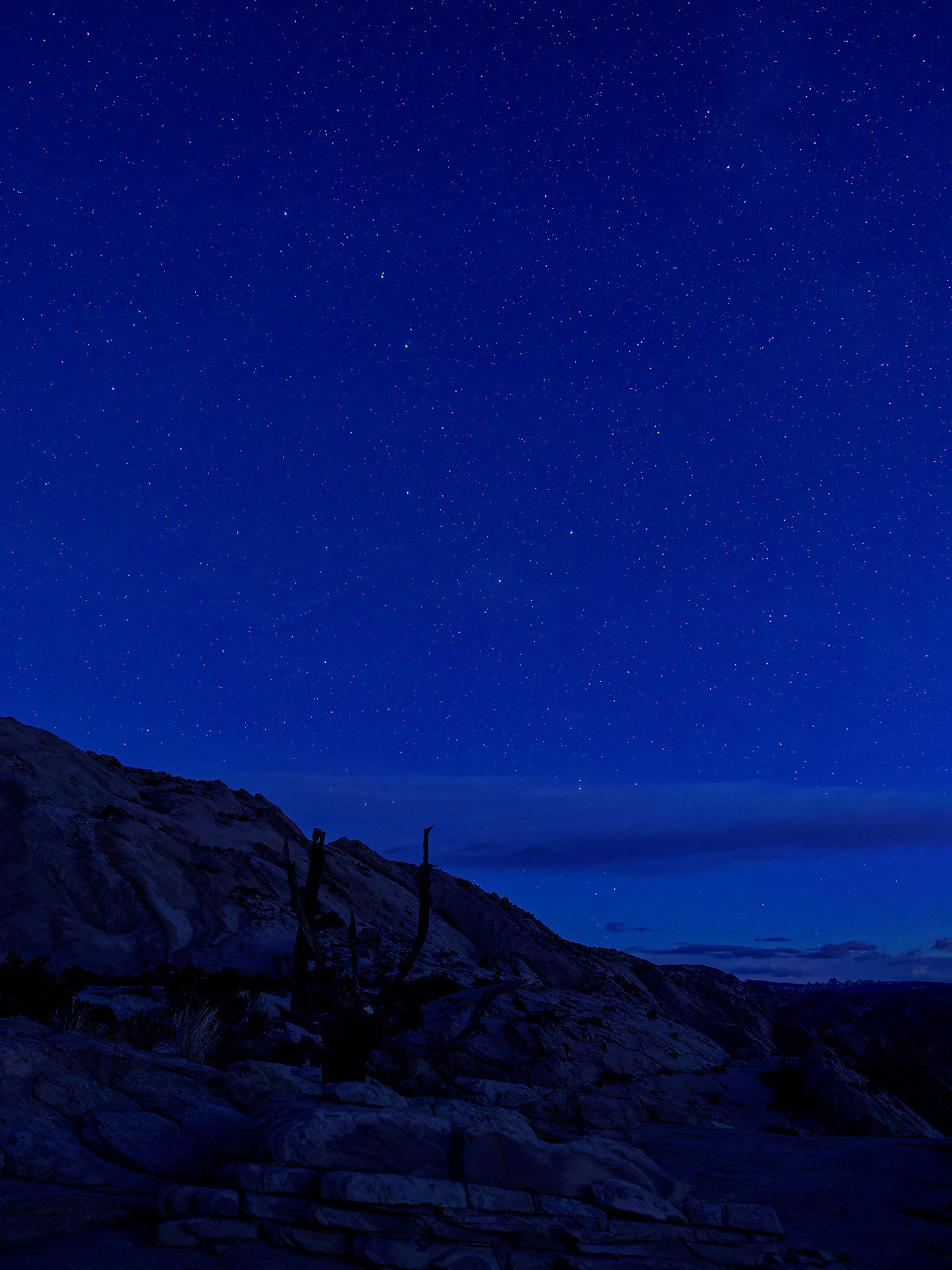 Upper Muley Twist Canyon