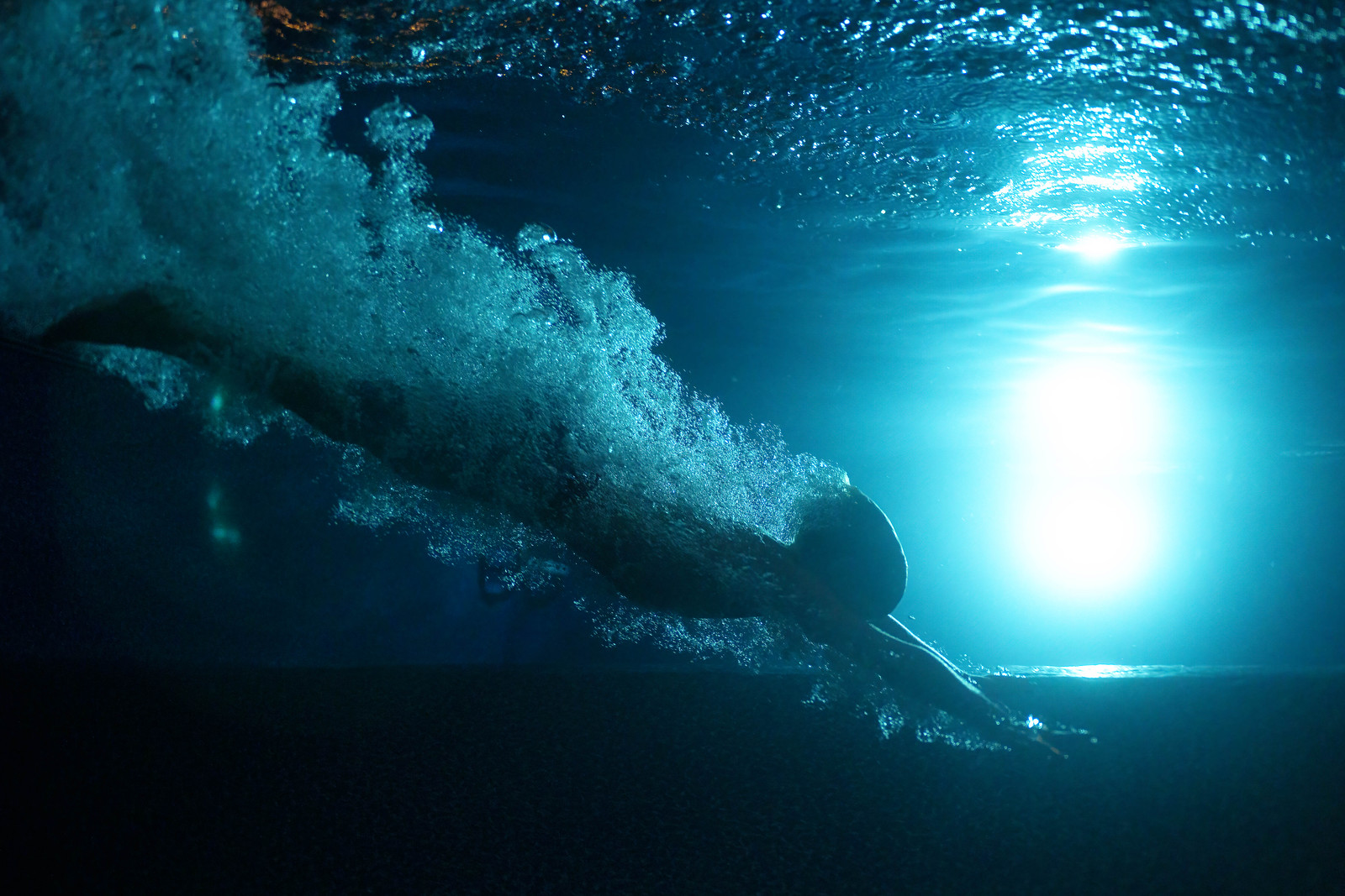 Night Swim