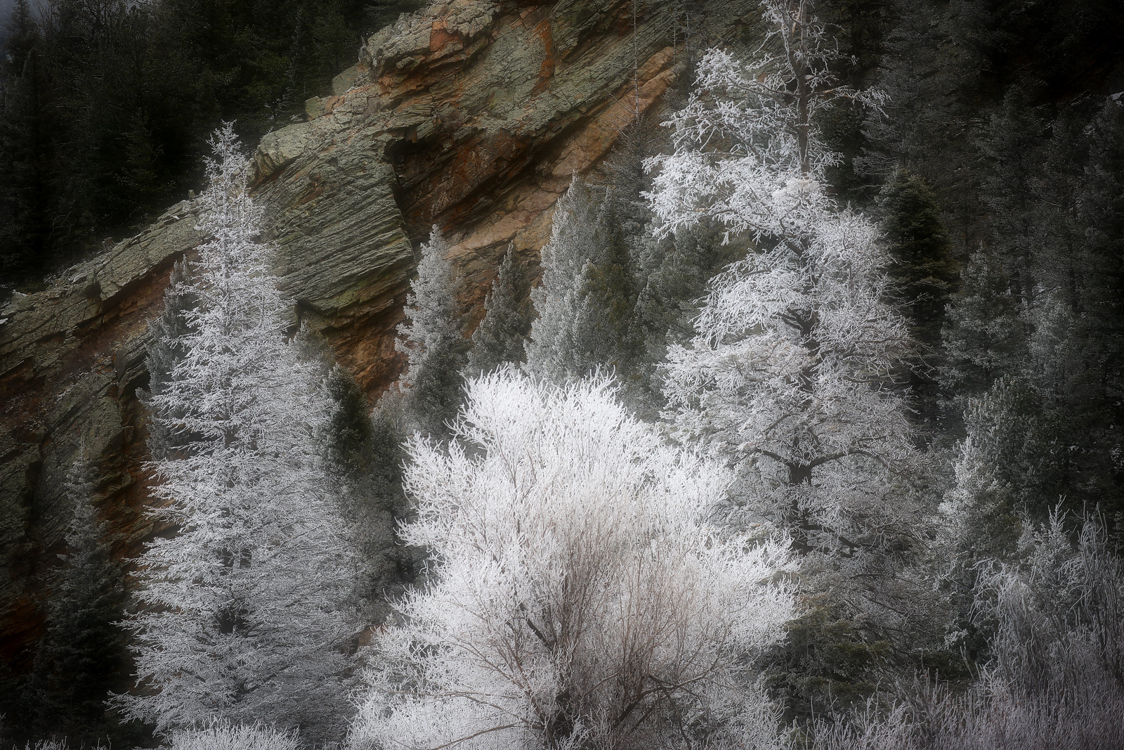 Hoarfrost on Hardscrabble Creek
