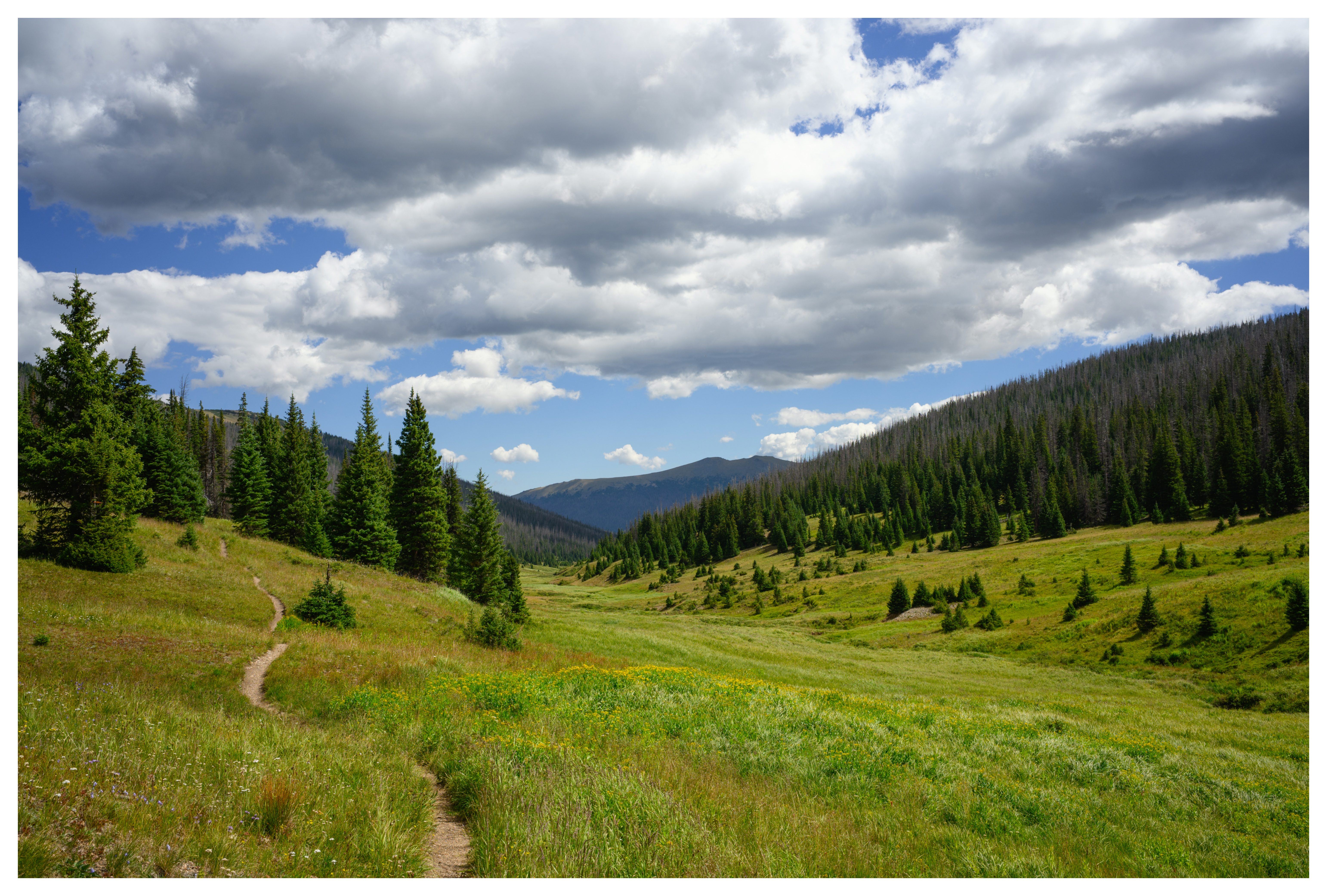 Summer in the Rockies