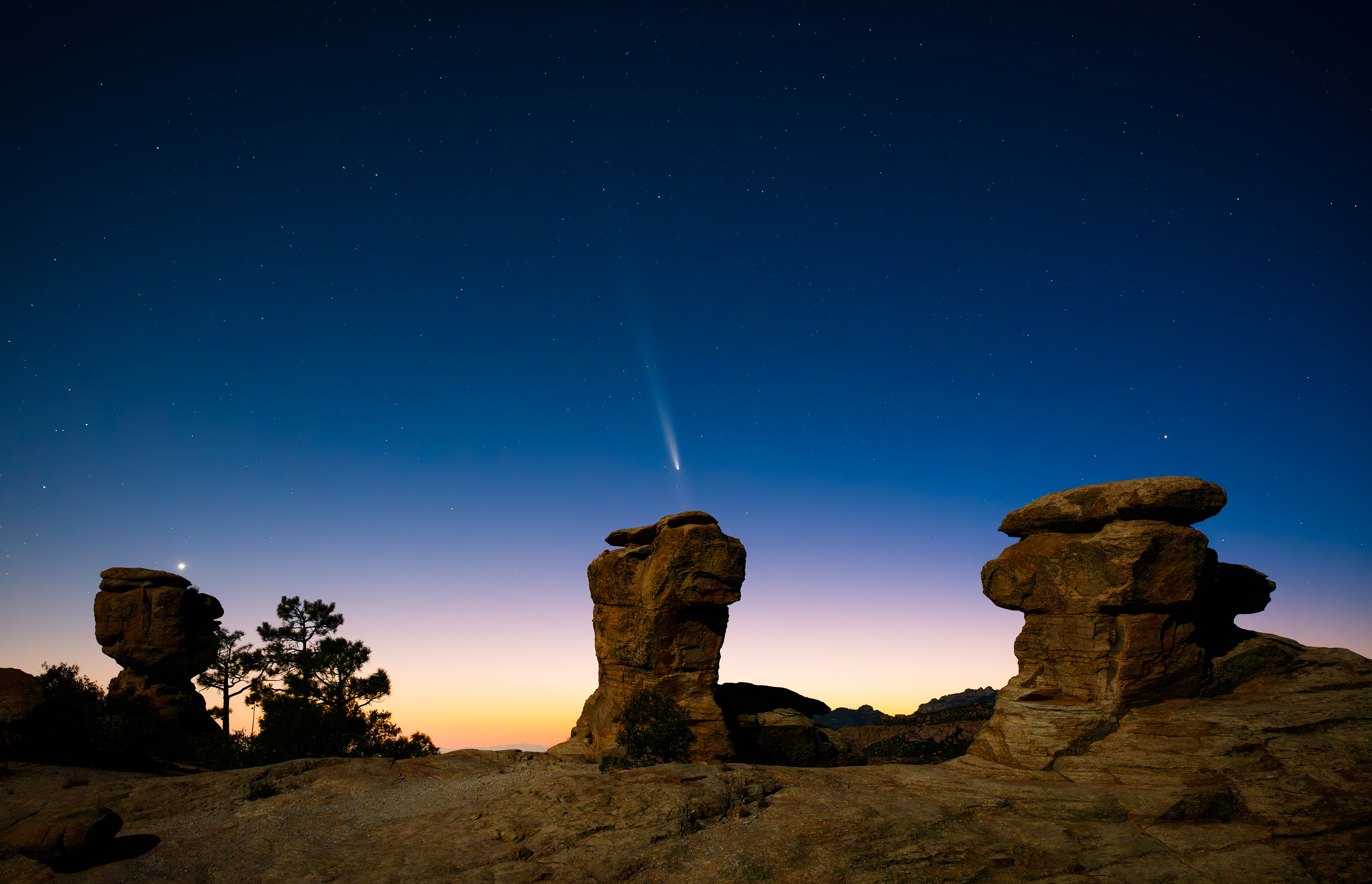 I had to photograph the comet