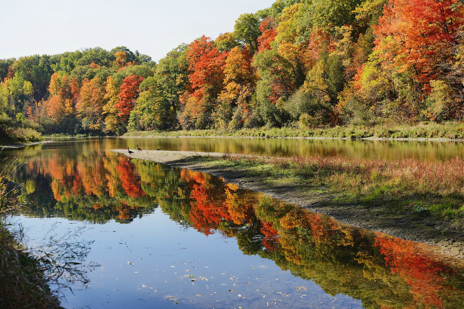 Autumn Colours