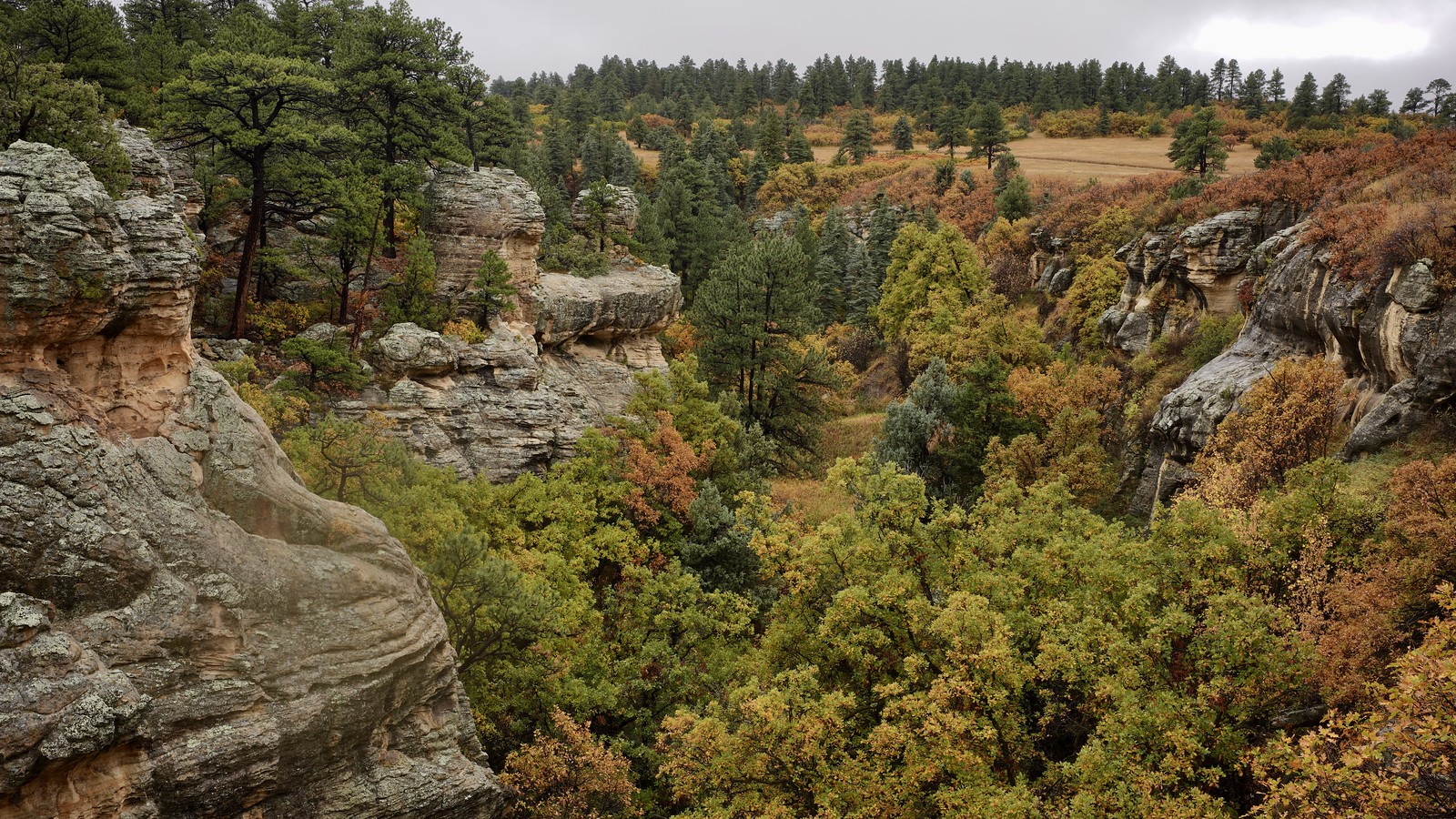 Colorado Foothills