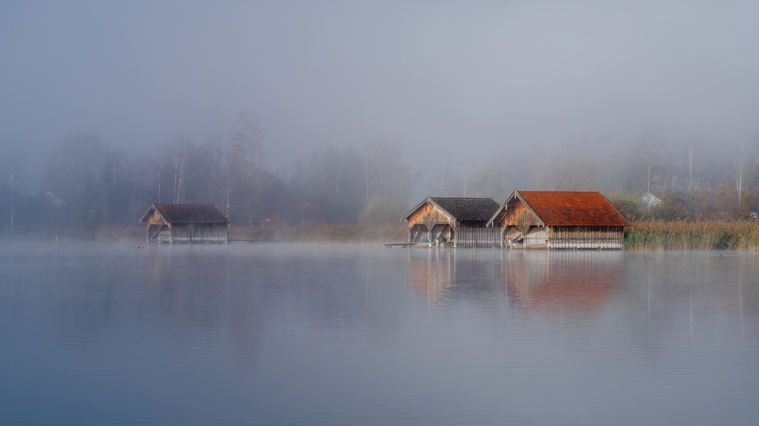 A magical morning in Kochelsee - fog and (some) autumn colours