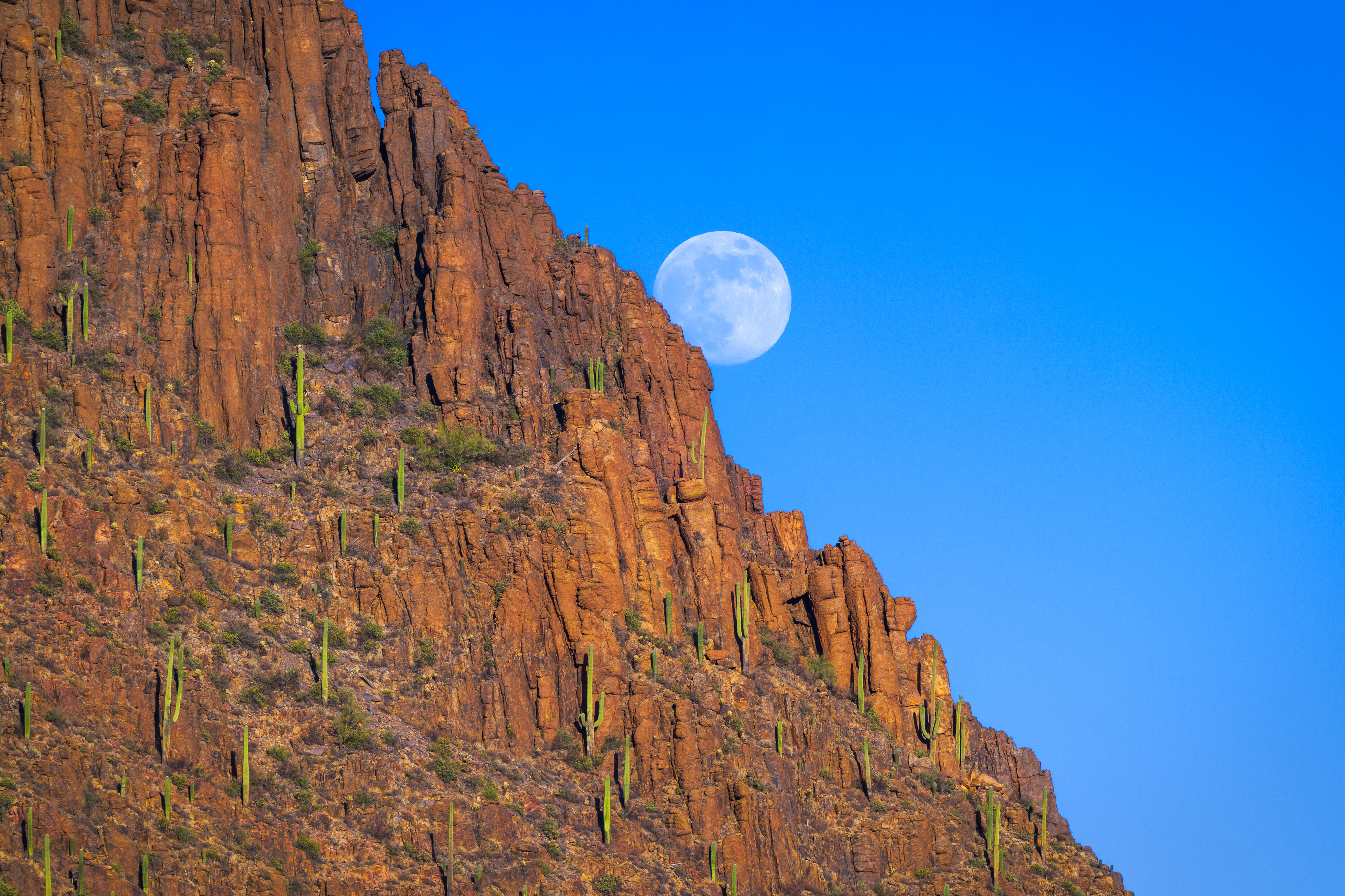 Gates Pass: Went out for one shot... focused on something else for much of the time...