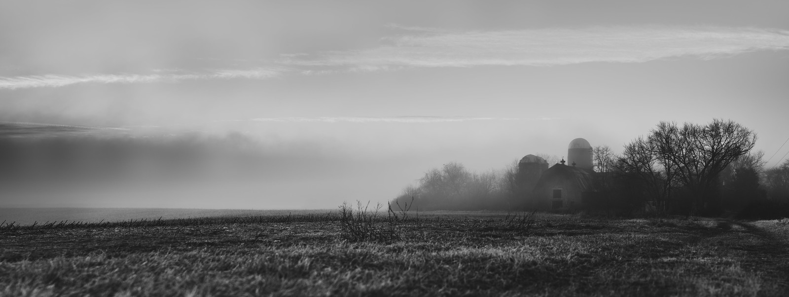 Farm near my house