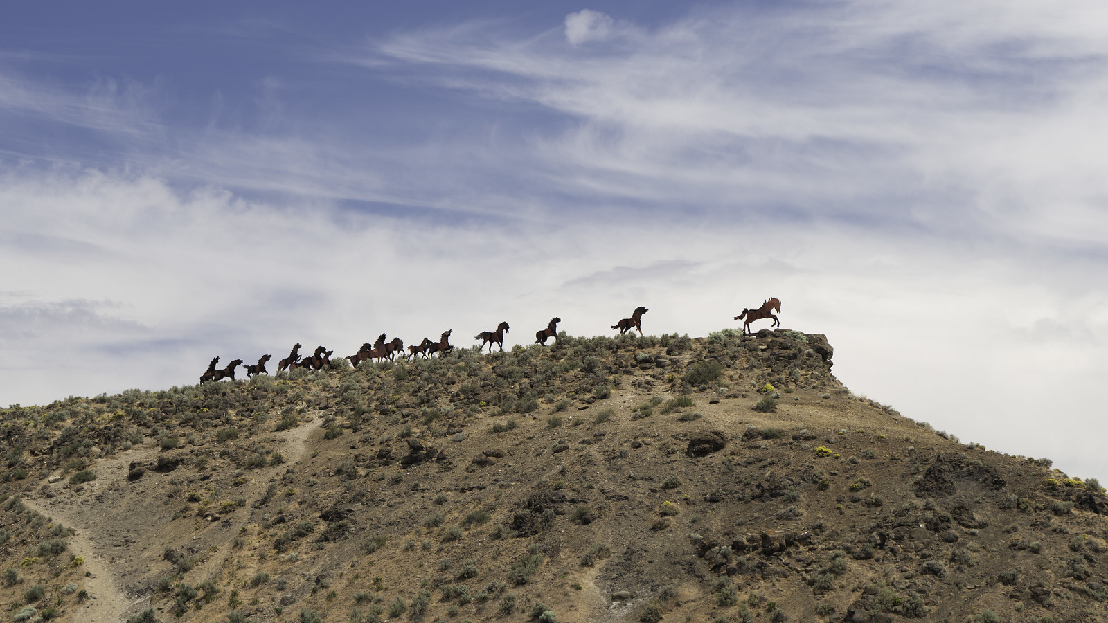 Grandfather Cuts Loose the Ponies