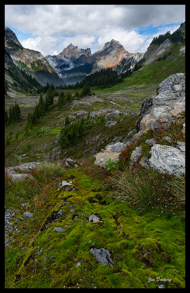 Yellow Aster Butte