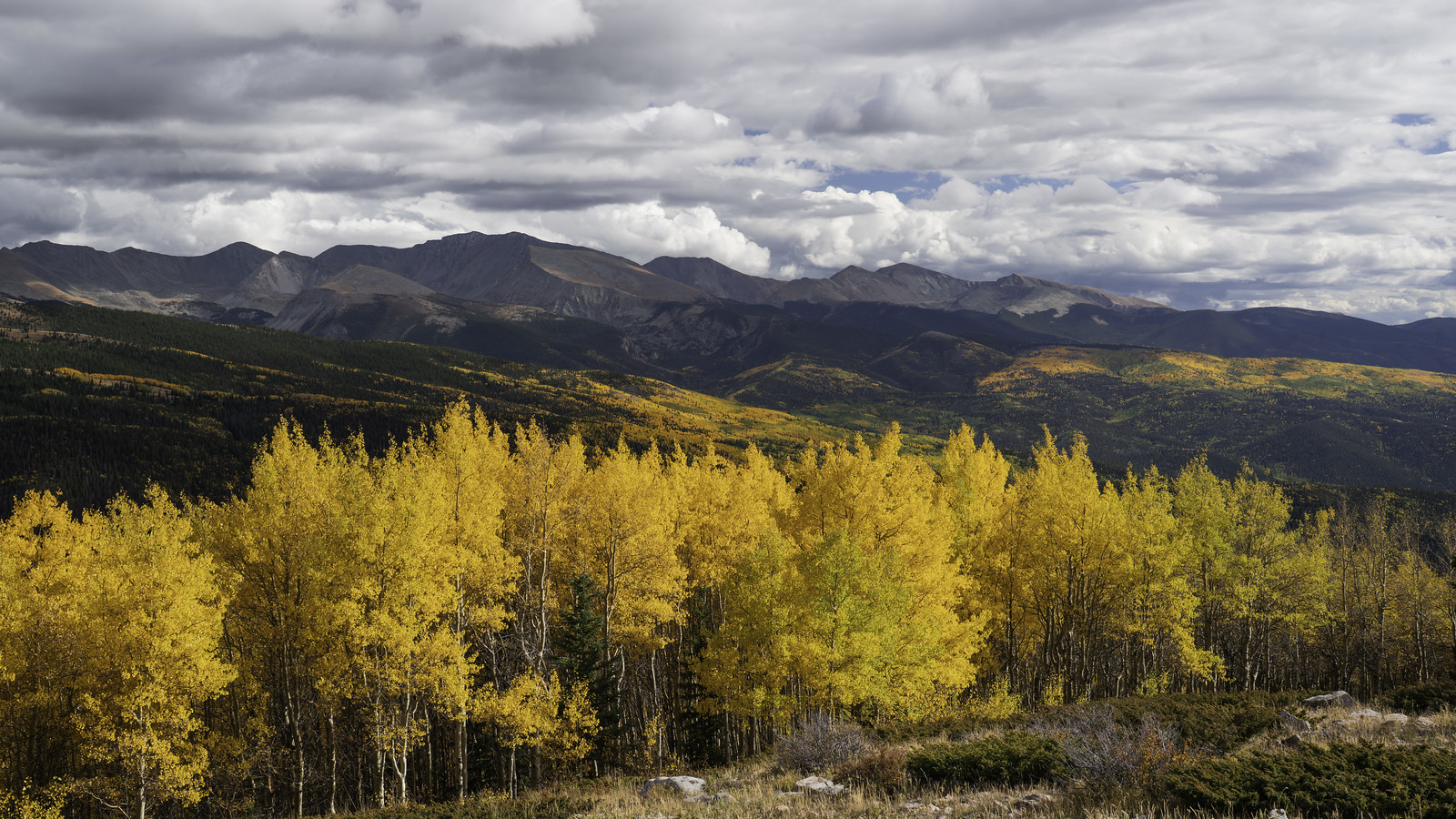 Culebra Range Fall Colors